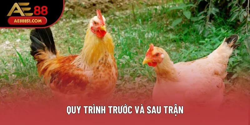 Quy trình trước và sau trận