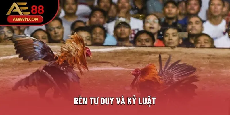Rèn tư duy và kỷ luật