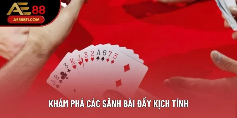 Khám phá các sảnh bài đầy kịch tính