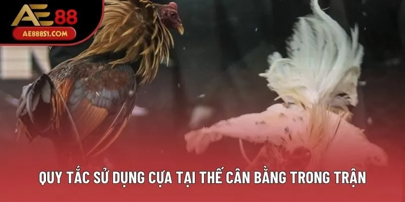 Quy tắc sử dụng cựa tại thế cân bằng trong trận