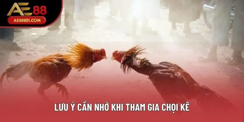 Lưu ý cần nhớ khi tham gia chọi kê