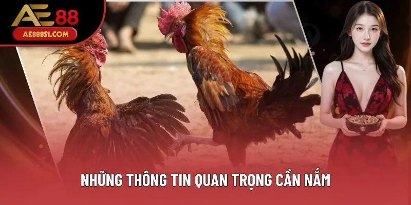 Những thông tin quan trọng cần nắm Những thông tin quan trọng cần nắm