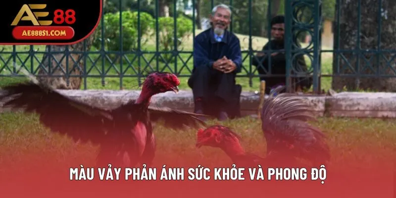 Màu vảy phản ánh sức khỏe và phong độ Màu vảy phản ánh sức khỏe và phong độ