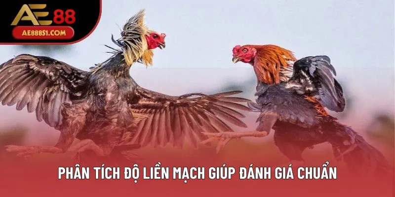 Phân tích độ liền mạch giúp đánh giá chuẩn Phân tích độ liền mạch giúp đánh giá chuẩn